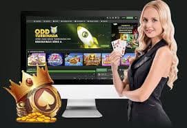 Dice game betting interface on rekapan hk showing stake entry and prediction options